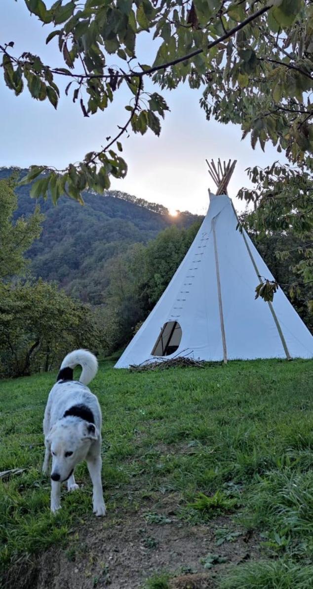 @Gatetothewild Bed and Breakfast Coreglia Ligure Εξωτερικό φωτογραφία